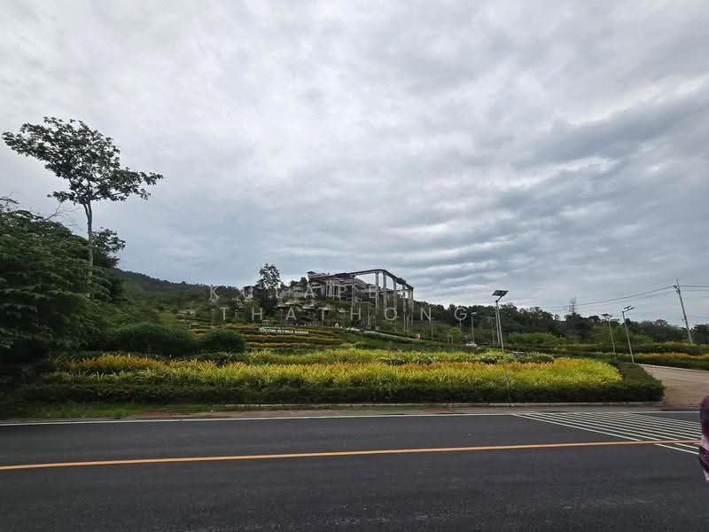 ขายด่วน! ที่ดินพร้อมบ้าน เสม็ดนางชี พังงา (ตรงข้าม Beyond Skywalk), พังงา, คลองเคียน, ตะกั่วทุ่ง, พังงา, 568 ตร.ม., ที่ดิน ขาย, โดย Kulapeeda Thathong, 500531316 - DDproperty.com