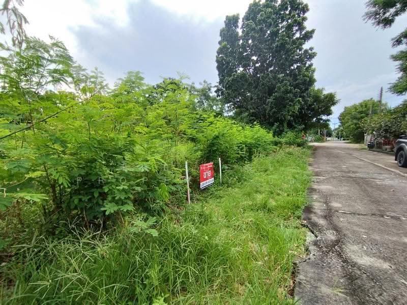 สวนแสนสุข องครักษ์, นครนายก, บางปลากด, องครักษ์, นครนายก, 721 ตร.ม., ที่ดิน ขาย, โดย The Best Property บอส, 500531331 - DDproperty.com