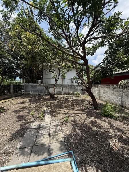 Sammakon Ramkhamhaeng, Bangkok, Ramkhamhaeng Road, Saphan Sung, Bangkok, 3 Bedrooms, 200 sqm, Single Detached House For Sale, by Nutthavadee Kittihut, 500531441 - DDproperty.com