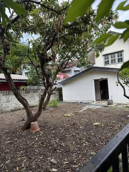 Sammakon Ramkhamhaeng : สัมมากร รามคำแหง, กรุงเทพ, ถนนรามคำแหง, สะพานสูง, กรุงเทพ, 200 ตร.ม., บ้านเดี่ยว ขาย, โดย Nutthavadee Kittihut, 500531441 - DDproperty.com