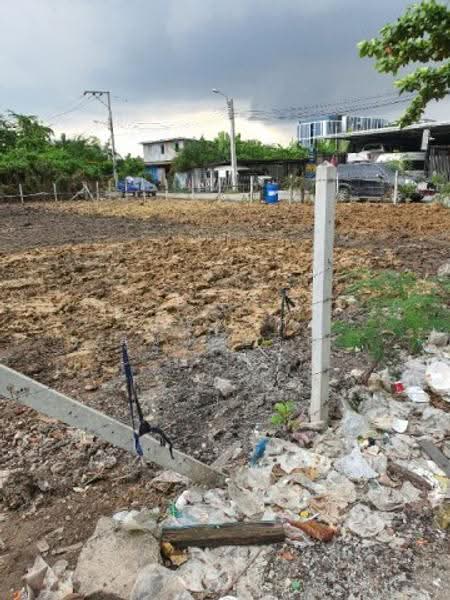 ไม่พบโครงการ, กรุงเทพ, สุขุมวิท, บางนา, กรุงเทพ, 12,164 ตร.ม., Land ให้เช่า, โดย ณัฐพงศ์ สุนทรอรุณ, 500531486 - DDproperty.com