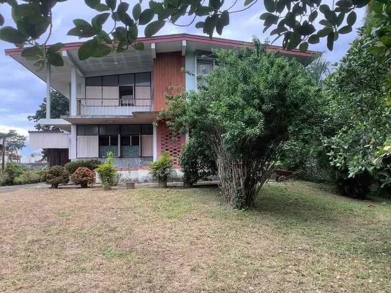Prime 1-Rai Land with Existing House in a Red-Zoned Area, Near San Pa Khoi Market, Mueang Chiang Mai, Chiang Mai, เจริญเมือง, Wat Khet, Muang Chiang Mai, Chiang Mai, , 1,600 sqm, Land For Sale, by หทัยรัตน์ จรัสอุไรสิน, 500531496 - DDproperty.com