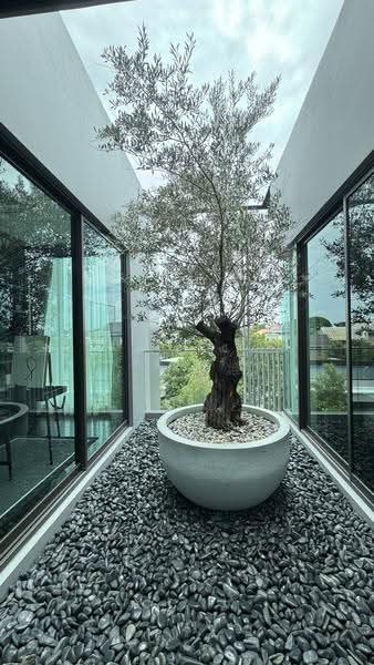95E1 (Ninety-Five East One), Bangkok, 95 Soi Yothin Phattana 3, Khlong Chan, Bang Kapi, Bangkok, 4 Bedrooms, 842 sqm, Single Detached House For Sale, by มาสสิณี ธนธัญนพรัตน์, 500531541 - DDproperty.com