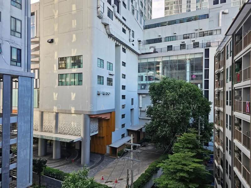 The President Sukhumvit 81 : เดอะ เพรสซิเดนท์ สุขุมวิท 81, กรุงเทพ, ซอยสุขุมวิท 81 ถนนสุขุมวิท, พระโขนงเหนือ, วัฒนา, กรุงเทพ, 52 ตร.ม., คอนโด ให้เช่า, โดย Sopisa Budchiw, 500531549 - DDproperty.com