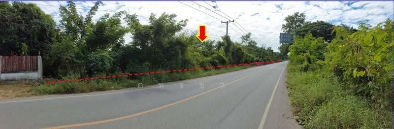 ตำบลหนองบัว อำเภอเมืองหนองบัวลำภู หนองบัวลำภู, หนองบัวลำภู, หนองบัว, เมืองหนองบัวลำภู, หนองบัวลำภู, 1 ตร.ม., Business ขาย, โดย ภทรชล , 500531592 - DDproperty.com