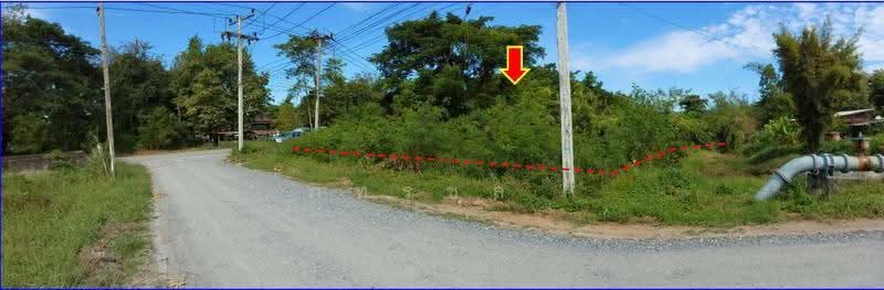 ตำบลหนองบัว อำเภอเมืองหนองบัวลำภู หนองบัวลำภู, หนองบัวลำภู, หนองบัว, เมืองหนองบัวลำภู, หนองบัวลำภู, 1 ตร.ม., Business ขาย, โดย ภทรชล , 500531592 - DDproperty.com