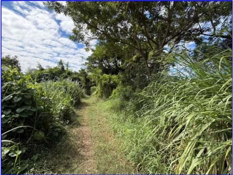 ตำบลหนองบัว อำเภอเมืองหนองบัวลำภู หนองบัวลำภู, Nong Bua Lam Phu, Nong Bua, Muang Nong Bua Lam Phu, Nong Bua Lam Phu, , 1 sqm, Business For Sale, by ภทรชล , 500531592 - DDproperty.com