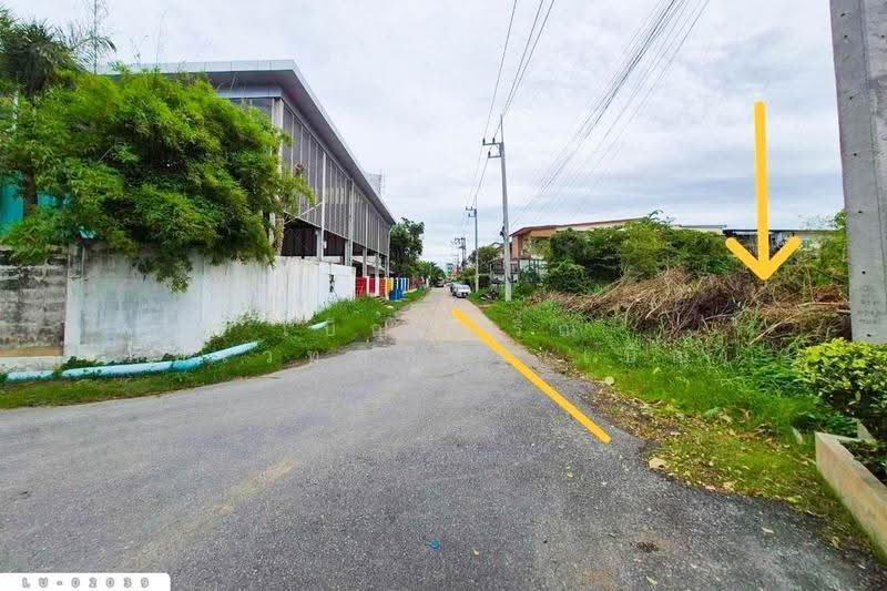 Land plot at Krathum Lom 18, Sam Phran, 359 sq.wa, Nakhon Pathom LU-02039, Nakhon Pathom, Krathum Lom, Sam Phran, Nakhon Pathom, , 1,436 sqm, Land For Sale, by Benchawarin Pakkawetppisit, 500531672 - DDproperty.com