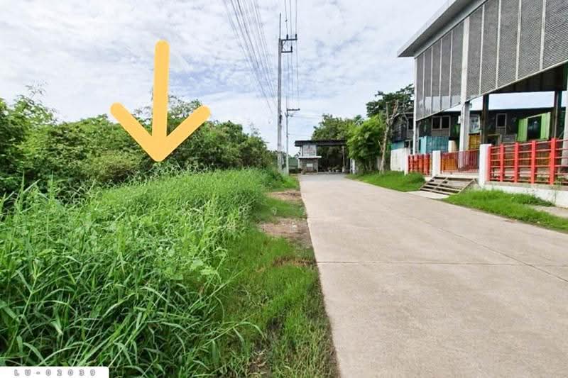 ที่ดินกระทุ่มล้ม 18 สามพราน 359 ตร.ว. นครปฐม ใกล้ ถ.พุทธมณฑลสาย 4 LU-02039, นครปฐม, กระทุ่มล้ม, สามพราน, นครปฐม, 1,436 ตร.ม., ที่ดิน ขาย, โดย เบ็ญจวริณ ภัคเวทพิสิษฐ์(เบ็ญ), 500531672 - DDproperty.com