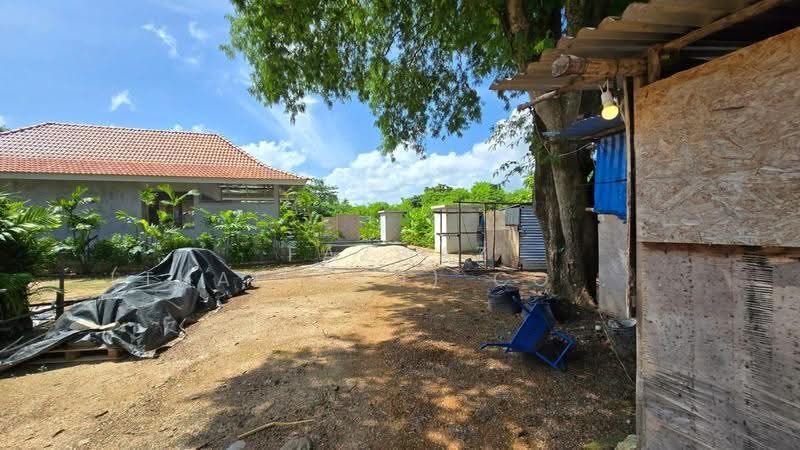 Phuket Land for Sale 300m from Mai Khao Beach | 3 Bungalows Included, Phuket, Mai Khao, Thalang, Phuket, , 1,648 sqm, Land For Sale, by Fazwaz (Thailand) Co., Ltd., 500531707 - DDproperty.com