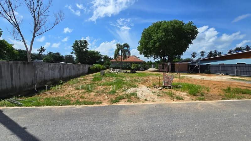 Phuket Land for Sale 300m from Mai Khao Beach | 3 Bungalows Included, Phuket, Mai Khao, Thalang, Phuket, , 1,648 sqm, Land For Sale, by Fazwaz (Thailand) Co., Ltd., 500531707 - DDproperty.com