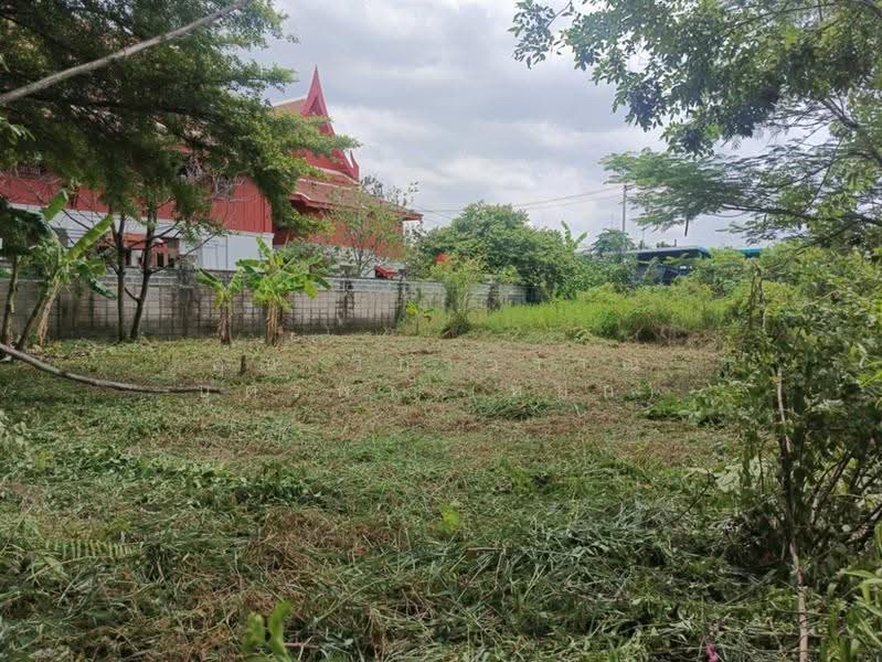ที่ดินเปล่า 70 ตร.ว. ที่ดินทวีวัฒนา ซอยทวีวัฒนา14, Bangkok, ถนนทวีวัฒนา, Thawi Watthana, Bangkok, , 280 sqm, Land For Sale, by คุณ วิภาวรรณ บุตรพา (หยก), 500531739 - DDproperty.com