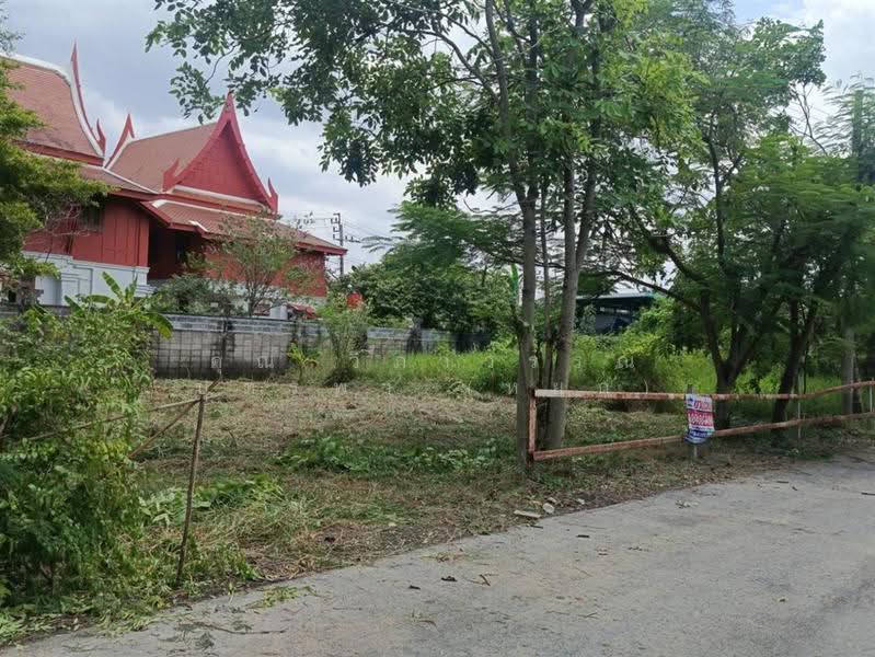 ที่ดินเปล่า 70 ตร.ว. ที่ดินทวีวัฒนา ซอยทวีวัฒนา14, Bangkok, ถนนทวีวัฒนา, Thawi Watthana, Bangkok, , 280 sqm, Land For Sale, by คุณ วิภาวรรณ บุตรพา (หยก), 500531739 - DDproperty.com