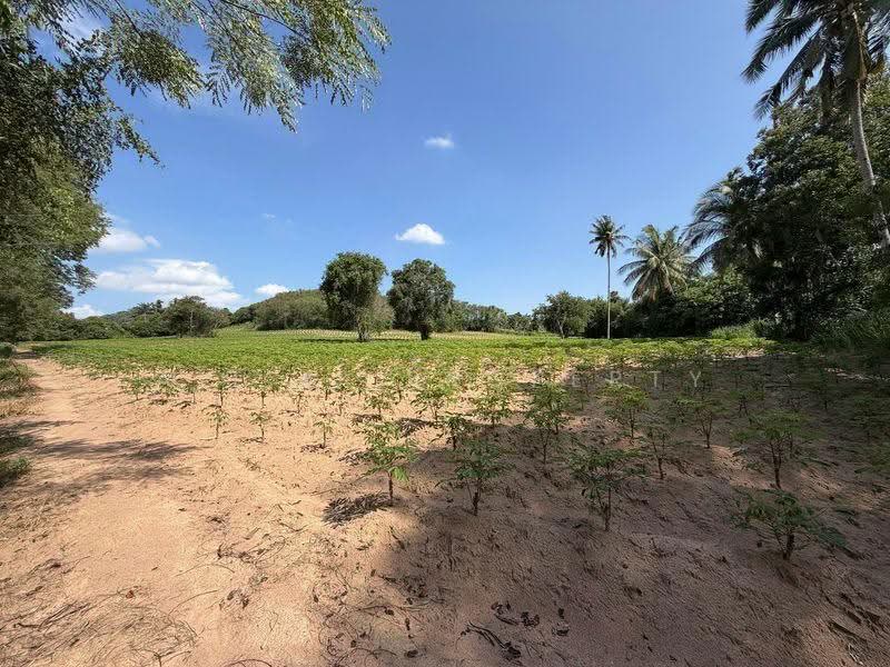 ที่ดินแปลงใหญ่ หนองขาม - ศรีราชา ชลบุรี, Chon Buri (Pattaya), Nong - Kham, Si Racha, Chon Buri (Pattaya), , 24,216 sqm, Land For Sale, by A.T.A. Property, 500531751 - DDproperty.com