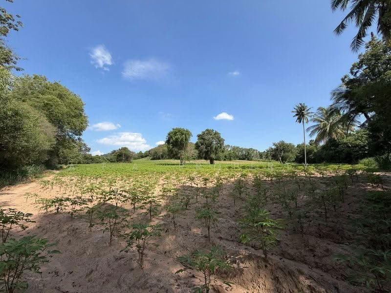ที่ดินแปลงใหญ่ หนองขาม - ศรีราชา ชลบุรี, Chon Buri (Pattaya), Nong - Kham, Si Racha, Chon Buri (Pattaya), , 24,216 sqm, Land For Sale, by A.T.A. Property, 500531751 - DDproperty.com