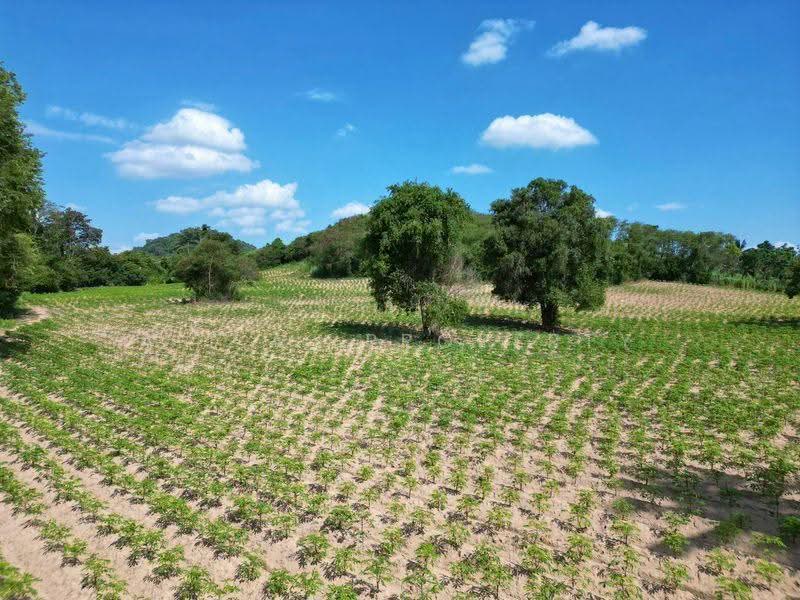 ที่ดินแปลงใหญ่ หนองขาม - ศรีราชา ชลบุรี, Chon Buri (Pattaya), Nong - Kham, Si Racha, Chon Buri (Pattaya), , 24,216 sqm, Land For Sale, by A.T.A. Property, 500531751 - DDproperty.com