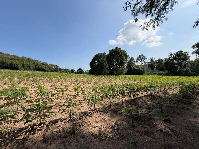 ที่ดินแปลงใหญ่ หนองขาม - ศรีราชา ชลบุรี, Chon Buri (Pattaya), Nong - Kham, Si Racha, Chon Buri (Pattaya), , 24,216 sqm, Land For Sale, by A.T.A. Property, 500531751 - DDproperty.com