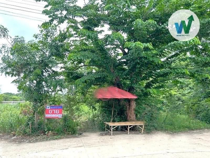ที่ดินแปลงใหญ่ 2 งาน 43.30 ตร.ว, ปทุมธานี, สามโคก, ปทุมธานี, 973 ตร.ม., ที่ดิน ขาย, โดย สุมนทา กรรณนุช, 500531774 - DDproperty.com