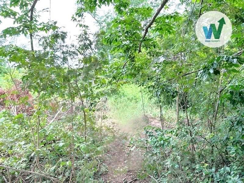 ที่ดินแปลงใหญ่ 2 งาน 43.30 ตร.ว, Pathum Thani, Sam Khok, Pathum Thani, , 973 sqm, Land For Sale, by สุมนทา กรรณนุช, 500531774 - DDproperty.com