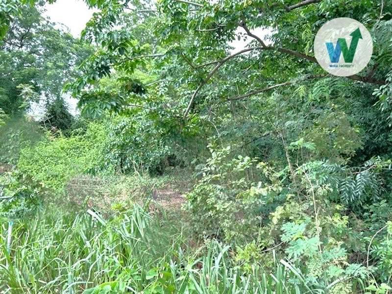 ที่ดินแปลงใหญ่ 2 งาน 43.30 ตร.ว, Pathum Thani, Sam Khok, Pathum Thani, , 973 sqm, Land For Sale, by สุมนทา กรรณนุช, 500531774 - DDproperty.com
