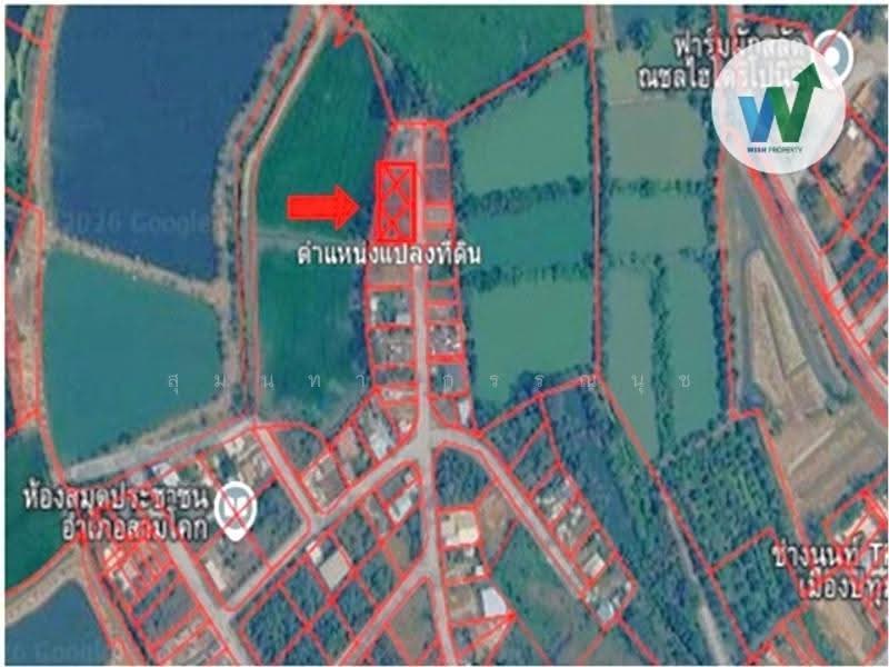 ที่ดินแปลงใหญ่ 2 งาน 43.30 ตร.ว, Pathum Thani, Sam Khok, Pathum Thani, , 973 sqm, Land For Sale, by สุมนทา กรรณนุช, 500531774 - DDproperty.com
