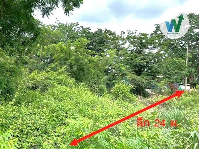ที่ดินแปลงใหญ่ 2 งาน 43.30 ตร.ว, Pathum Thani, Sam Khok, Pathum Thani, , 973 sqm, Land For Sale, by สุมนทา กรรณนุช, 500531774 - DDproperty.com