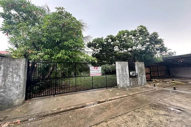 ซอยลาดพร้าว 81, Bangkok, ถนนลาดพร้าว, Khlong Chaokhun Sing, Wang Thonglang, Bangkok, , 396 sqm, Land For Sale, by คุณนา , 500531821 - DDproperty.com