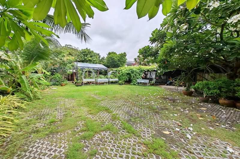 ซอยลาดพร้าว 81, Bangkok, ถนนลาดพร้าว, Khlong Chaokhun Sing, Wang Thonglang, Bangkok, , 396 sqm, Land For Sale, by คุณนา , 500531821 - DDproperty.com