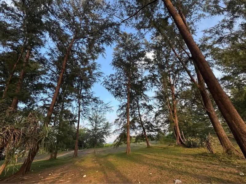 Land_Pang-Nga, พังงา, นาเตย, ท้ายเหมือง, พังงา, 124,800 ตร.ม., ที่ดิน ขาย, โดย Kritsada Darakrittaya, 500531825 - DDproperty.com
