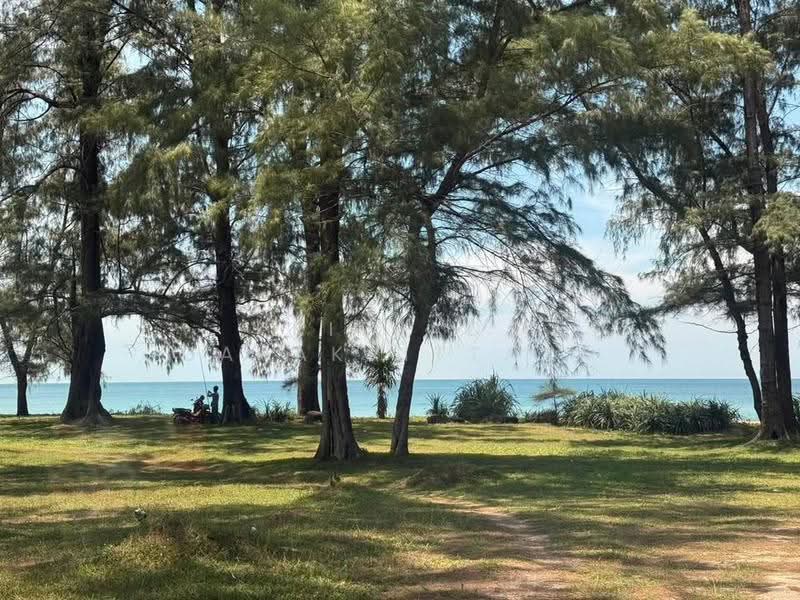 Land_Pang-Nga, Phangnga, Na Toei, Thai Muang, Phangnga, , 124,800 sqm, Land For Sale, by Kritsada Darakrittaya, 500531825 - DDproperty.com