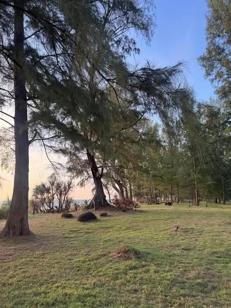 Land_Pang-Nga, Phangnga, Na Toei, Thai Muang, Phangnga, , 124,800 sqm, Land For Sale, by Kritsada Darakrittaya, 500531825 - DDproperty.com