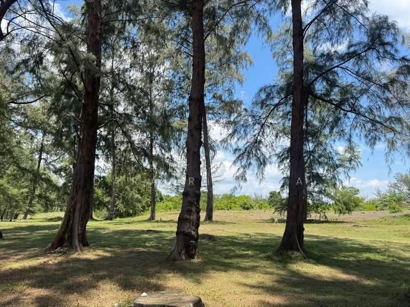 Land_Pang-Nga, Phangnga, Na Toei, Thai Muang, Phangnga, , 124,800 sqm, Land For Sale, by Kritsada Darakrittaya, 500531825 - DDproperty.com