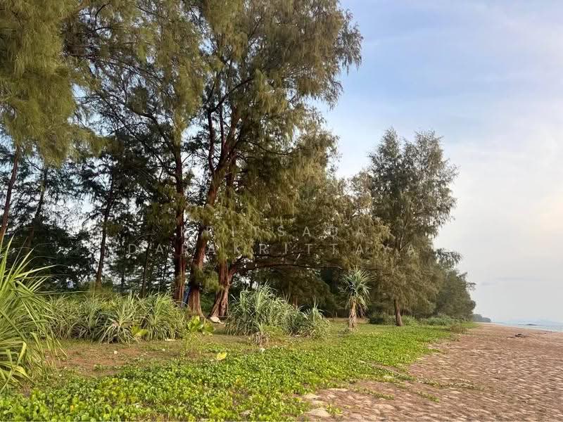 Land_Pang-Nga, Phangnga, Na Toei, Thai Muang, Phangnga, , 124,800 sqm, Land For Sale, by Kritsada Darakrittaya, 500531825 - DDproperty.com