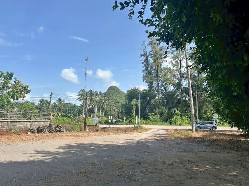 บ้านเดี่ยวพร้อมที่ดินปะทิว ชุมพร, chumphon, Saphli, Pathiu, Chumphon, 3 Bedrooms, 150 sqm, Single Detached House For Sale, by The Best Property ดา, 500531835 - DDproperty.com