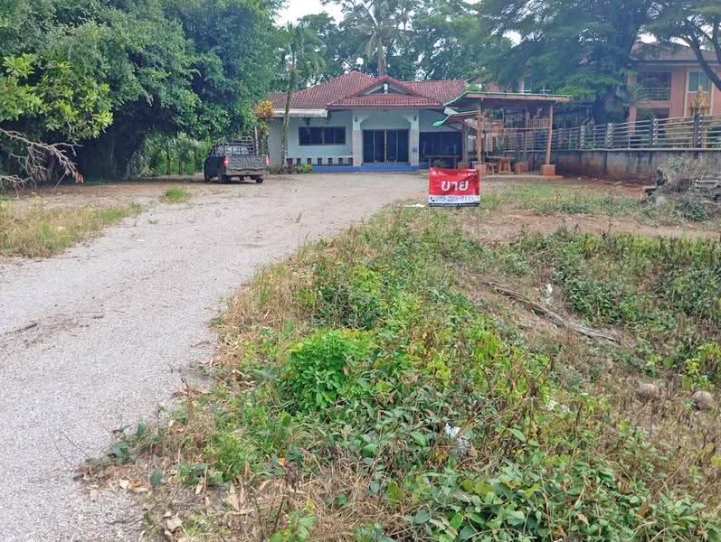 บ้านเดี่ยวพร้อมที่ดินปะทิว ชุมพร, chumphon, Saphli, Pathiu, Chumphon, 3 Bedrooms, 150 sqm, Single Detached House For Sale, by The Best Property ดา, 500531835 - DDproperty.com
