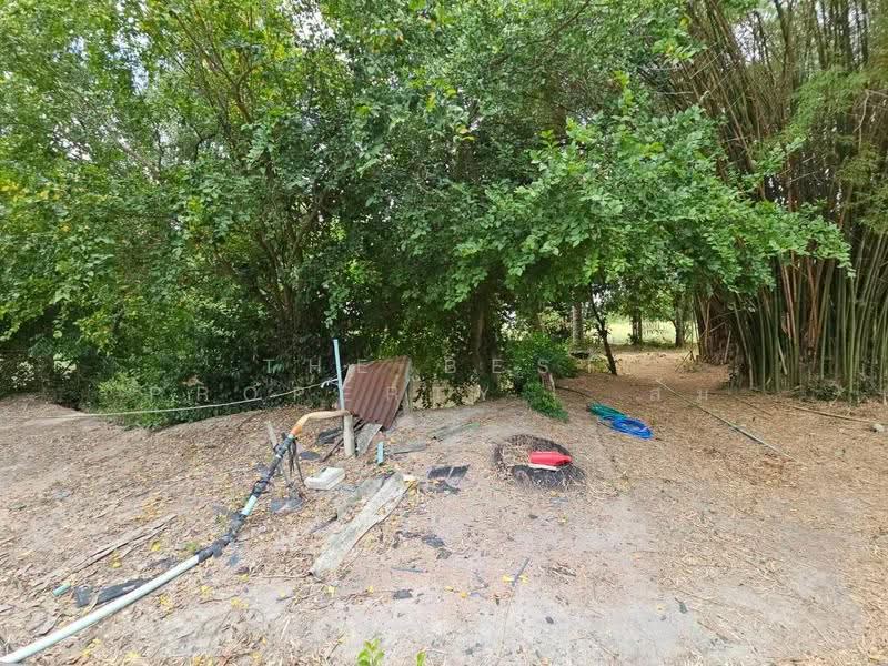 ที่ดินพร้อมสิ่งปลูกสร้างพานทอง ชลบุรี, Chon Buri (Pattaya), Map Pong, Phan Thong, Chon Buri (Pattaya), 6 Bedrooms, 150 sqm, Single Detached House For Sale, by The Best Property ส้ม, 500532194 - DDproperty.com