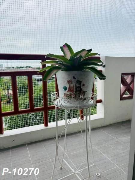 Bangna Place, Bangkok, Sanpawut, Bang Na Tai, Bang Na, Bangkok, 2 Bedrooms, 52 sqm, Condo For Rent, by Nichaphat Sakunchayapha, 500532595 - DDproperty.com