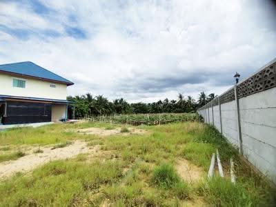 ขาย - ที่ดินบ้านแพ้ว สมุทรสาคร, สมุทรสาคร
