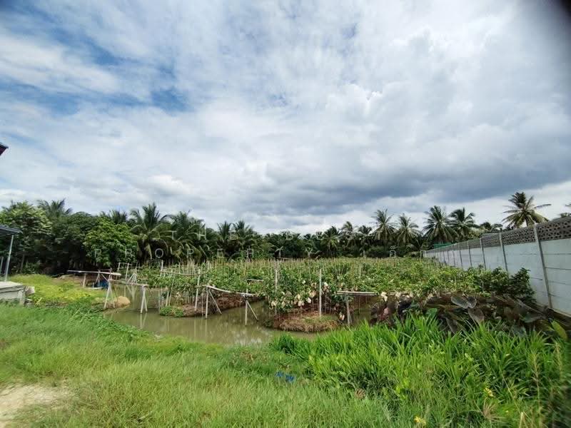 ที่ดินบ้านแพ้ว สมุทรสาคร, Samut Sakhon, Kaset Pattana, Ban Phaeo, Samut Sakhon, 1 Bedroom, 150 sqm, Single Detached House For Sale, by The Best Property เอ็กซ์, 500532649 - DDproperty.com