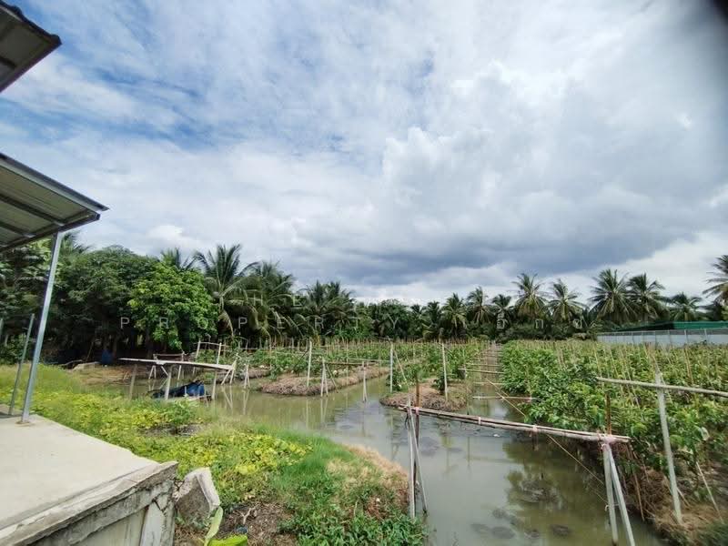 ที่ดินบ้านแพ้ว สมุทรสาคร, Samut Sakhon, Kaset Pattana, Ban Phaeo, Samut Sakhon, 1 Bedroom, 150 sqm, Single Detached House For Sale, by The Best Property เอ็กซ์, 500532649 - DDproperty.com