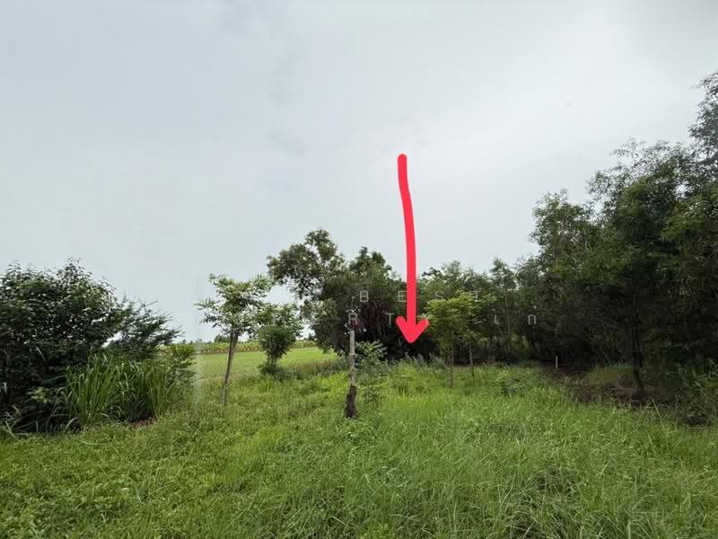 ที่ดินลาดบัวหลวง พระนครศรีอยุธยา, Phra Nakhon Si Ayutthaya, Khu Salot, Lat Bua Luang, Phra Nakhon Si Ayutthaya, 1 Bedroom, 150 sqm, Single Detached House For Sale, by The Best Property เก๋, 500532660 - DDproperty.com