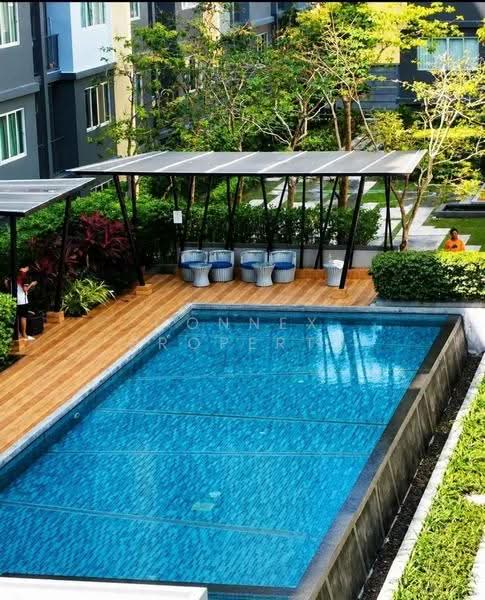 Dcondo Kathu-Patong, Phuket, Wichit Songkhram Road, Kathu, Phuket, 1 Bedroom, 30 sqm, Condo For Sale, by Connex Property, 500532778 - DDproperty.com