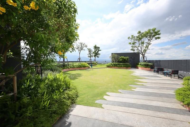 The Base Height-Chiang Mai : เดอะ เบส ไฮท์-เชียงใหม่, เชียงใหม่, วัดเกต, เมืองเชียงใหม่, เชียงใหม่, 29 ตร.ม., Condo ให้เช่า, โดย The Positive ที่ดิน บ้าน คอนโด , 500532999 - DDproperty.com