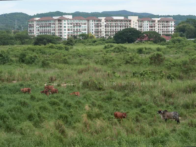 Le Beach Condo บางเสร่, ชลบุรี, Municipality 5/6 เทศบาล5/6, บางเสร่, สัตหีบ, ชลบุรี, 46 ตร.ม., คอนโด ขาย, โดย Yanisa Lundahl, 500533020 - DDproperty.com