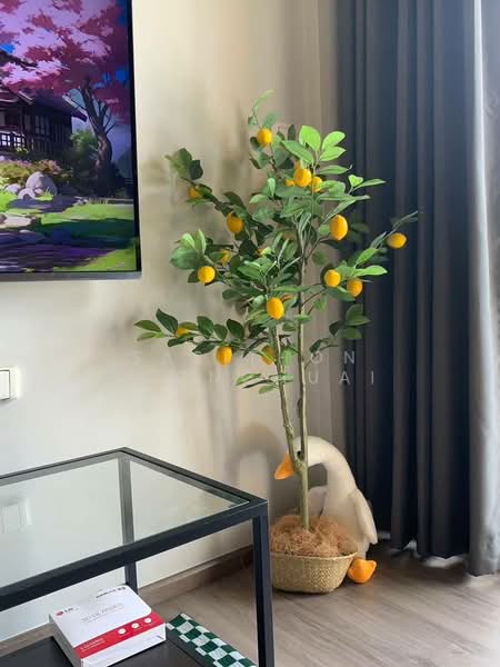 The Base Sukhumvit 50, Bangkok, Soi Roem Charoen 1, Sukhumvit 50 Road, Phra Kanong, Khlong Toei, Bangkok, 1 Bedroom, 31 sqm, Condo For Rent, by Sasithon Phonchuai, 500533046 - DDproperty.com
