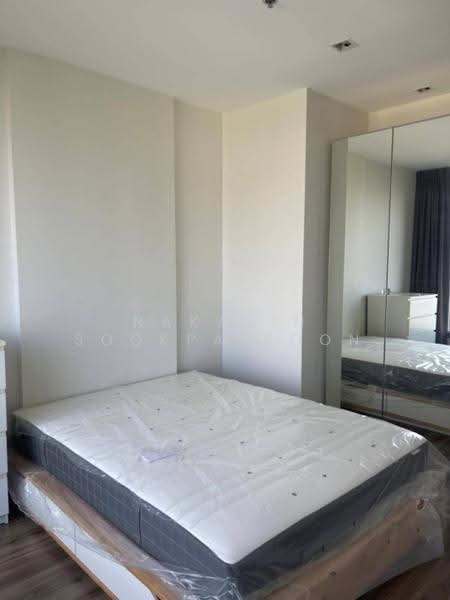 CEIL by Sansiri, Bangkok, 11 Soi Ekamai 12, Sukhumvit 63 Road, Khlong Tan Nua, Watthana, Bangkok, 1 Bedroom, 46 sqm, Condo For Rent, by Nakarin Sookpaiboon, 500533198 - DDproperty.com