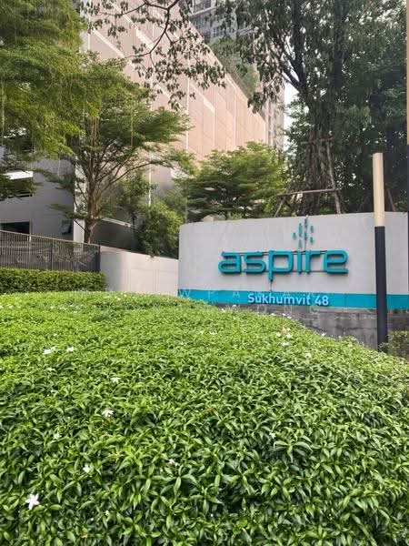 Aspire Sukhumvit 48 : แอสปาย สุขุมวิท 48, กรุงเทพ, ซอยสุขุมวิท 48 ถนนสุขุมวิท แขวงพระโขนง เขตคลองเตย กรุงเทพมหานคร, พระโขนง, คลองเตย, กรุงเทพ, 32 ตร.ม., คอนโด ให้เช่า, โดย Praewpakar Soontawong, 500533379 - DDproperty.com
