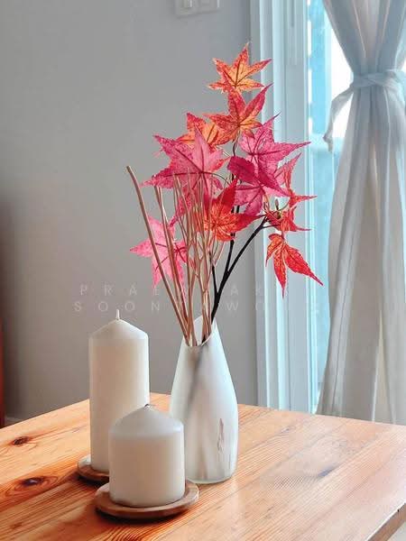 The Parkland Ratchada-Wongsawang, Bangkok, 1305 Bangkok-Nonthaburi Road, Wong Sawang, Bang Sue, Bangkok, 1 Bedroom, 30 sqm, Condo For Rent, by Praewpakar Soontawong, 500533479 - DDproperty.com