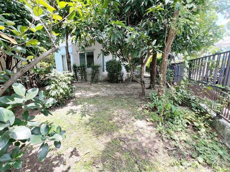 Chaiyaphruek Chaengwattana-Ratchapruek, Nonthaburi, Ratchaphruek Road, Bang Phlap, Pak Kret, Nonthaburi, 3 Bedrooms, 180 sqm, Single Detached House For Sale, by ณัฏฐ์อาณา บรรยงกะเสนา ณ อยุธยา, 500533492 - DDproperty.com