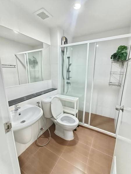 Regent Home Sukhumvit 97/1, กรุงเทพ, ซอยสุขุมวิท 97/1, บางจาก, พระโขนง, กรุงเทพ, 28 ตร.ม., คอนโด ให้เช่า, โดย Praewpakar Soontawong, 500533642 - DDproperty.com
